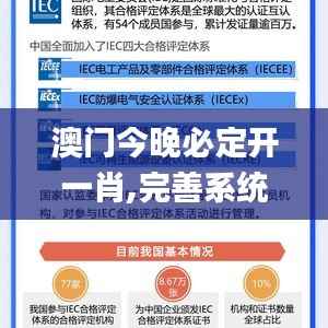 澳门今晚必定开一肖,完善系统评估_钱包版9.587