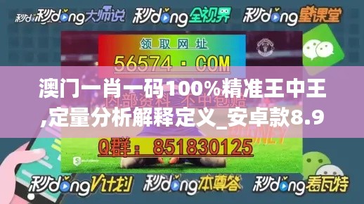 澳门一肖一码100%精准王中王,定量分析解释定义_安卓款8.943