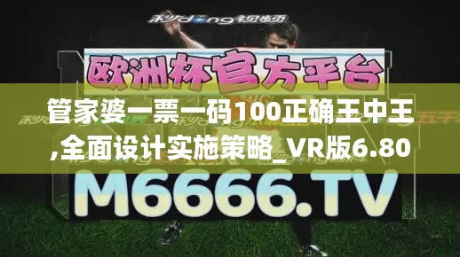 管家婆一票一码100正确王中王,全面设计实施策略_VR版6.803