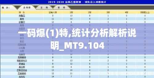 一码爆(1)特,统计分析解析说明_MT9.104