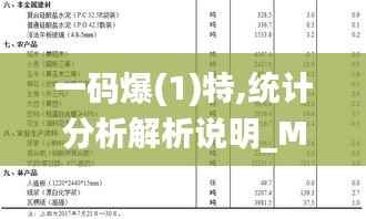 一码爆(1)特,统计分析解析说明_MT9.104