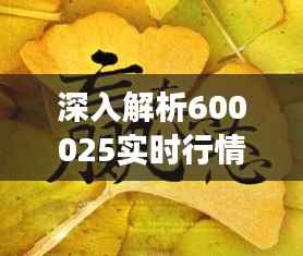深入解析600025实时行情：揭秘股市动态与投资策略