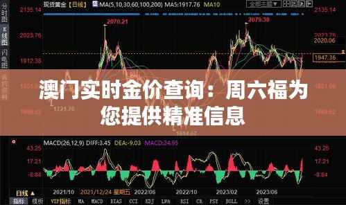 澳门实时金价查询:周六福为您提供精准信息