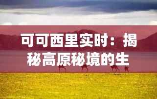 可可西里实时:揭秘高原秘境的生态变迁