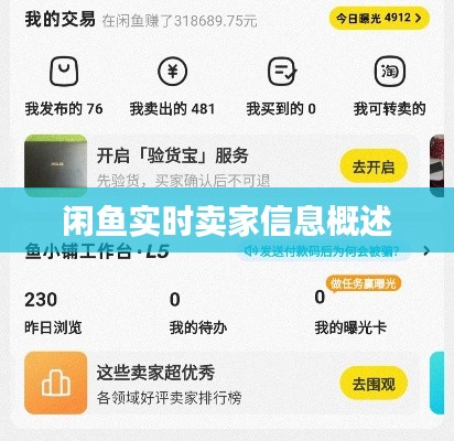 闲鱼实时卖家信息概述