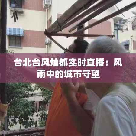 台北台风灿都实时直播:风雨中的城市守望