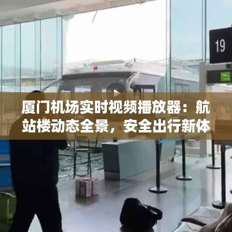 厦门机场实时视频播放器:航站楼动态全景,安全出行新体验
