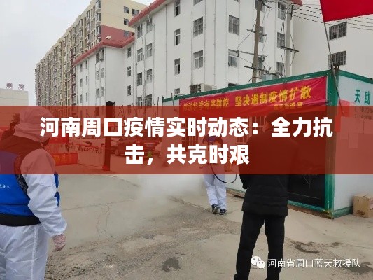 河南周口疫情实时动态:全力抗击,共克时艰