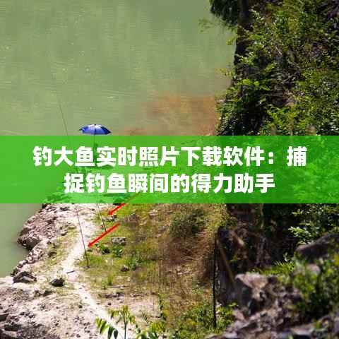 钓大鱼实时照片下载软件:捕捉钓鱼瞬间的得力助手