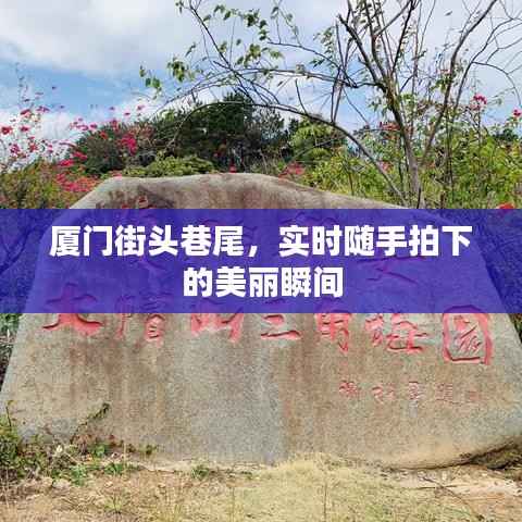 厦门街头巷尾,实时随手拍下的美丽瞬间