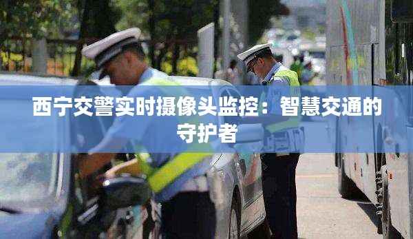 西宁交警实时摄像头监控:智慧交通的守护者
