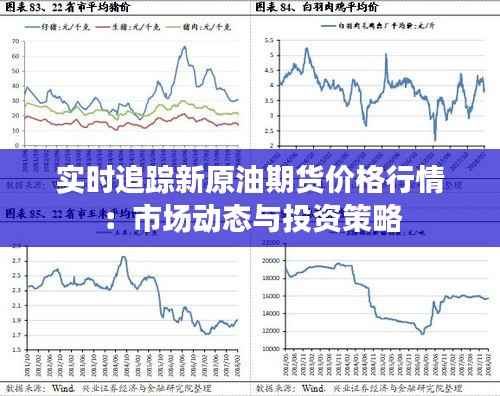 实时追踪新原油期货价格行情:市场动态与投资策略