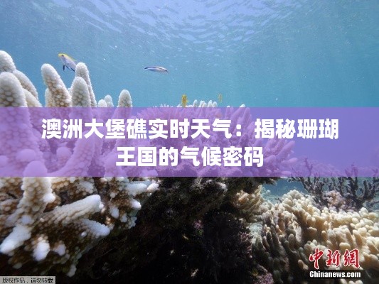 澳洲大堡礁实时天气:揭秘珊瑚王国的气候密码