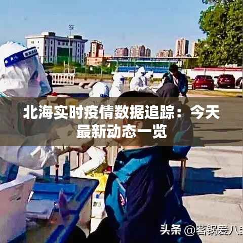 北海实时疫情数据追踪:今天最新动态一览