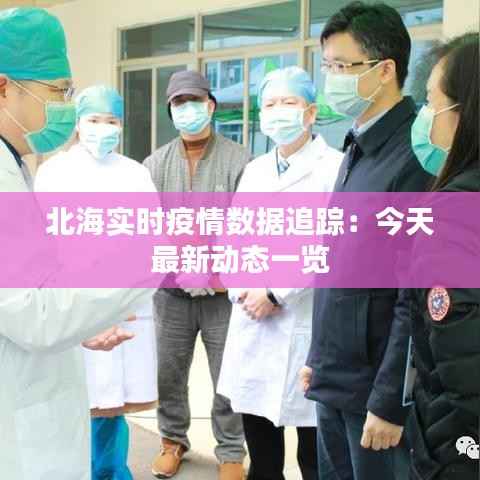 北海实时疫情数据追踪:今天最新动态一览