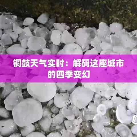 铜鼓天气实时:解码这座城市的四季变幻