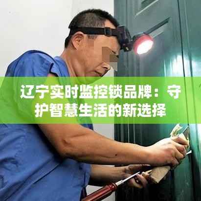 辽宁实时监控锁品牌：守护智慧生活的新选择