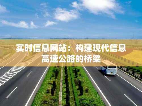 实时信息网站:构建现代信息高速公路的桥梁