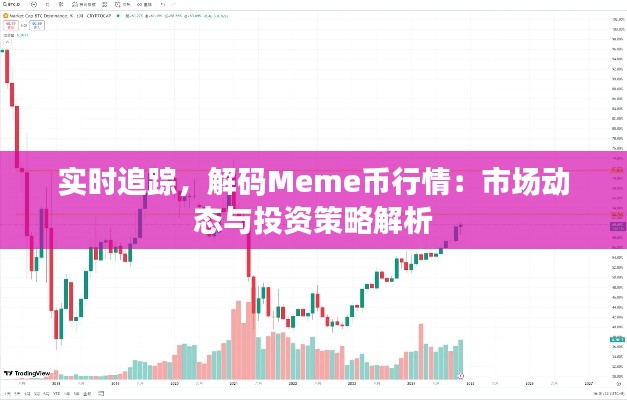 实时追踪,解码Meme币行情:市场动态与投资策略解析