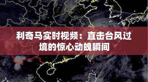 利奇马实时视频:直击台风过境的惊心动魄瞬间