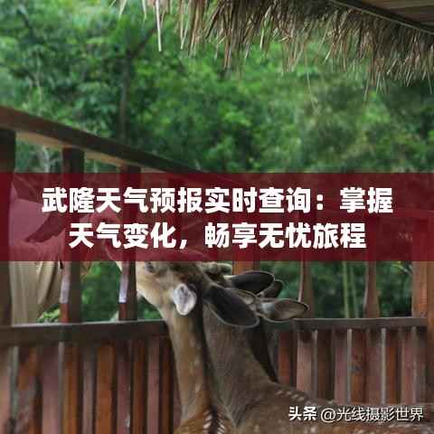 武隆天气预报实时查询:掌握天气变化,畅享无忧旅程