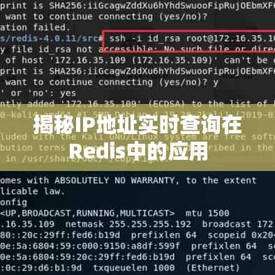 博古通今 第5页
