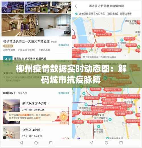 柳州疫情数据实时动态图：解码城市抗疫脉搏