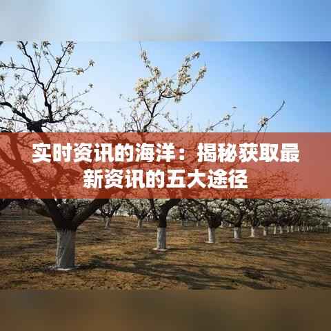 实时资讯的海洋:揭秘获取最新资讯的五大途径