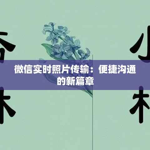 微信实时照片传输：便捷沟通的新篇章