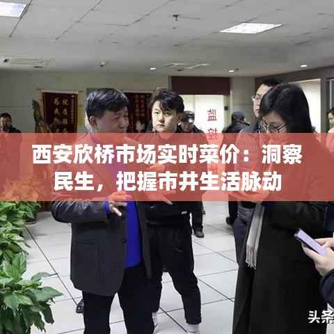 西安欣桥市场实时菜价:洞察民生,把握市井生活脉动
