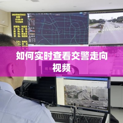 如何实时查看交警走向视频