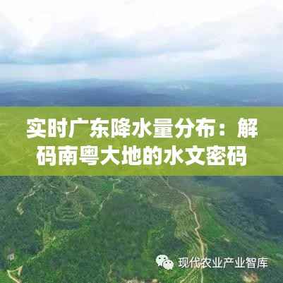实时广东降水量分布:解码南粤大地的水文密码
