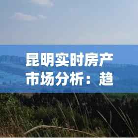 昆明实时房产市场分析:趋势与机遇并存
