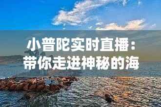 小普陀实时直播:带你走进神秘的海岛仙境
