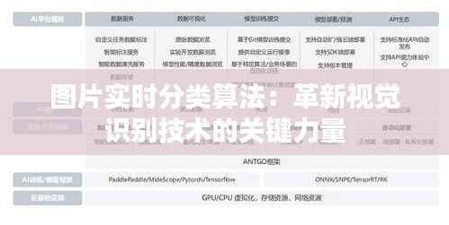 图片实时分类算法:革新视觉识别技术的关键力量