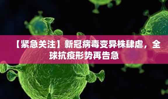 秀外慧中 第3页