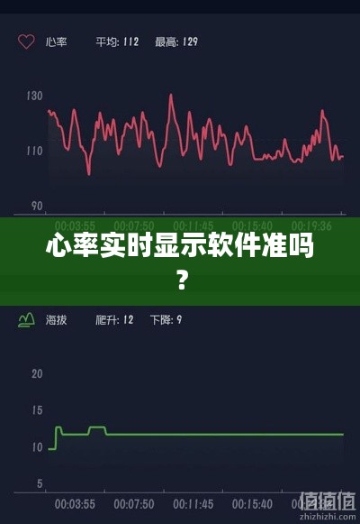 心率实时显示软件准吗？