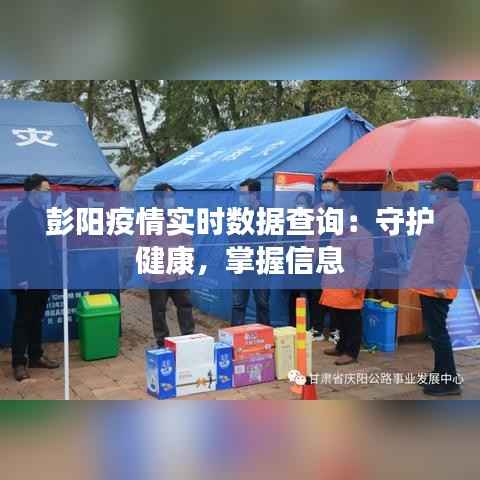 彭阳疫情实时数据查询:守护健康,掌握信息