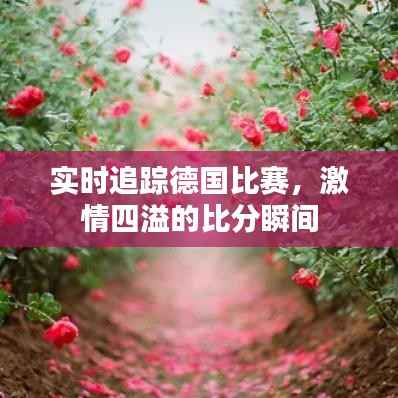 实时追踪德国比赛，激情四溢的比分瞬间