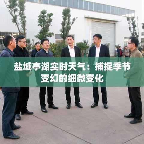 盐城亭湖实时天气:捕捉季节变幻的细微变化
