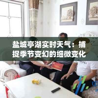 盐城亭湖实时天气:捕捉季节变幻的细微变化