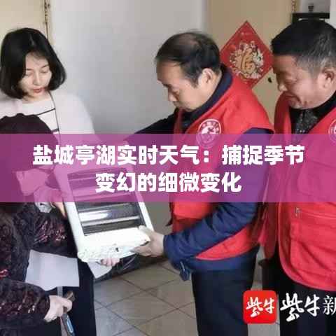 盐城亭湖实时天气:捕捉季节变幻的细微变化