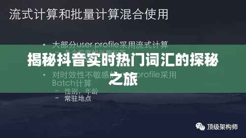 揭秘抖音实时热门词汇的探秘之旅