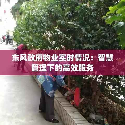 东风政府物业实时情况：智慧管理下的高效服务