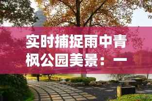 实时捕捉雨中青枫公园美景：一场视觉与情感的盛宴