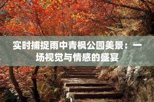 实时捕捉雨中青枫公园美景:一场视觉与情感的盛宴