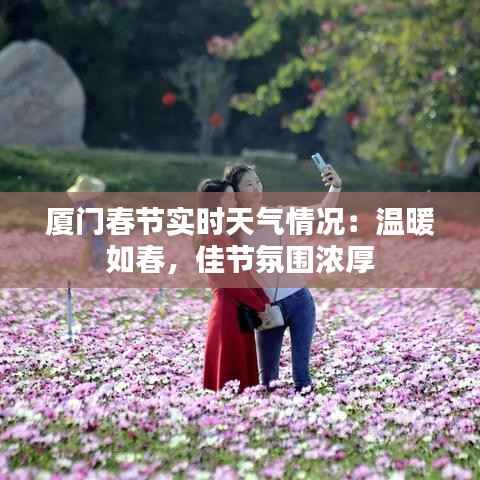 厦门春节实时天气情况:温暖如春,佳节氛围浓厚