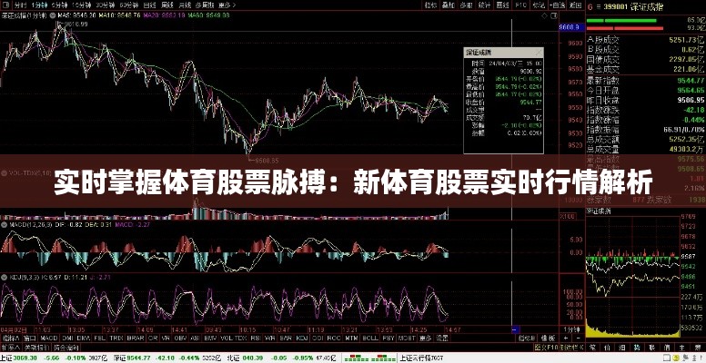 实时掌握体育股票脉搏:新体育股票实时行情解析