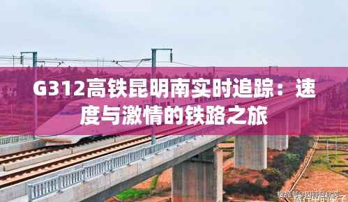 G312高铁昆明南实时追踪：速度与激情的铁路之旅