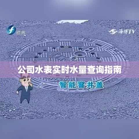 公司水表实时水量查询指南